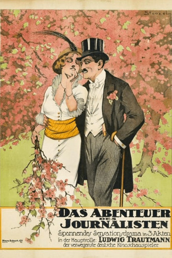 The Adventure of a Journalist poster