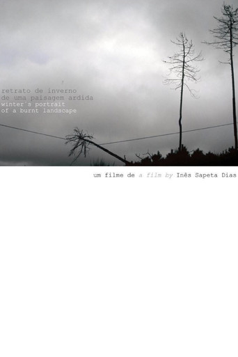 Winter's Portrait of a Burnt Landscape poster