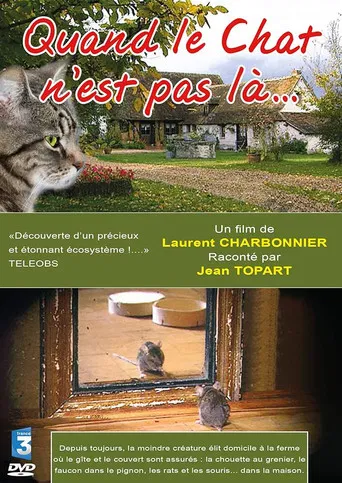 Quand le Chat n'est pas là… poster