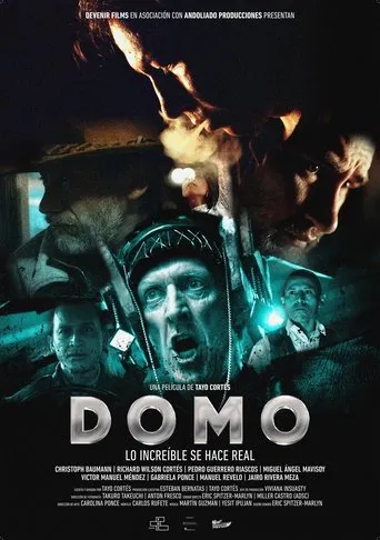 Domo poster