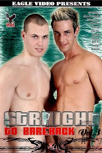 Straight to Bareback 3 poster
