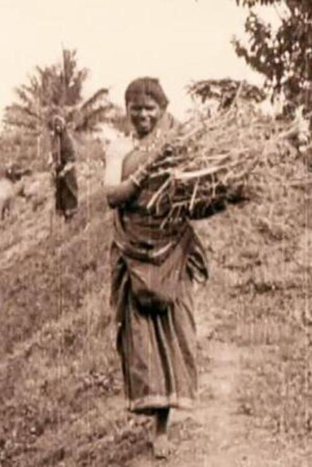 Edward Prince of Wales' Tour of India: Peshawar, The Khyber Pass and Rawl Pindi poster