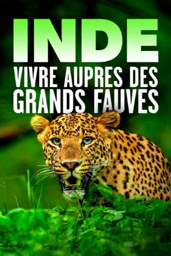 Inde - Vivre auprès des grands fauves poster