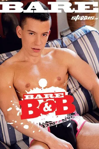 Bare B&B poster