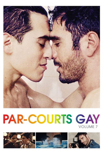 Par-courts Gay, Volume 7 poster