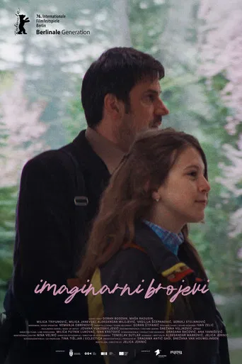 Imaginary Numbers poster