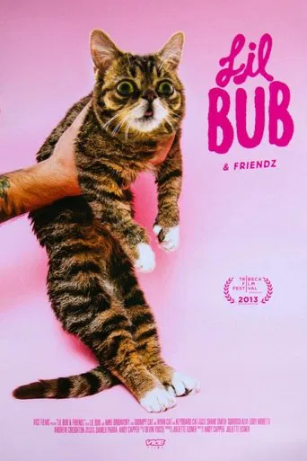 Lil Bub & Friendz poster