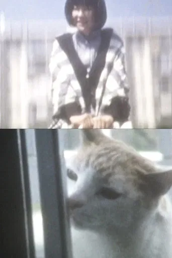 Have You Ever Tried Shiro-noir? poster