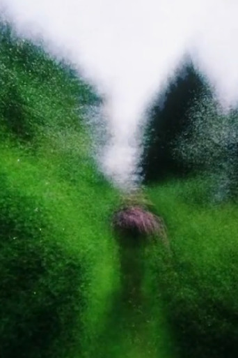 Brouillard #16 poster