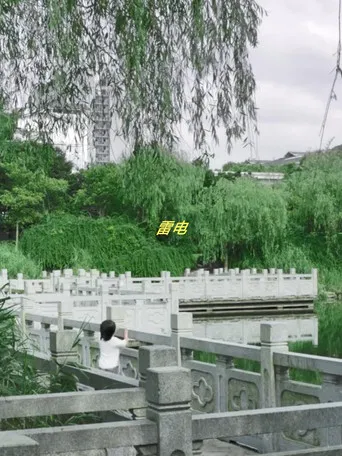 Distant Thunder poster