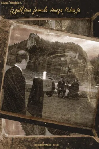 Janez Puhar's Missing Formula poster