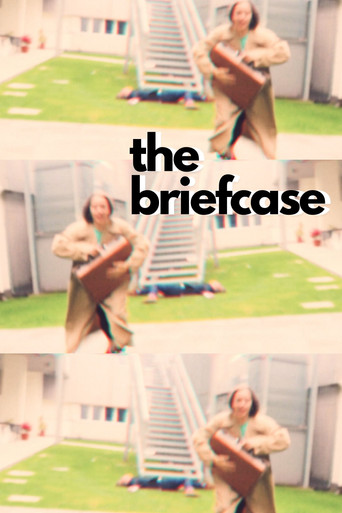 The Briefcase poster