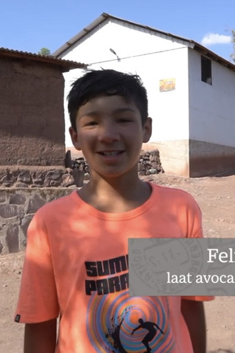 Felipe, de avocado's in Chili en klimaatverandering poster