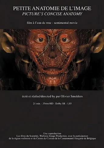 Petite anatomie de l'image poster