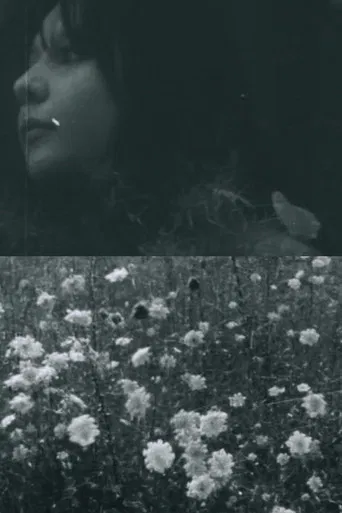 C - The House of Fire poster