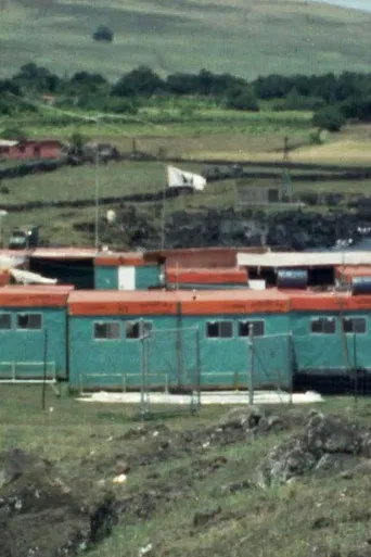 Island Observed poster