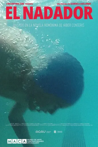 El nadador poster