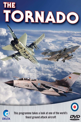 The Panavia Tornado poster