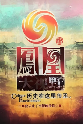 凤凰大视野 poster