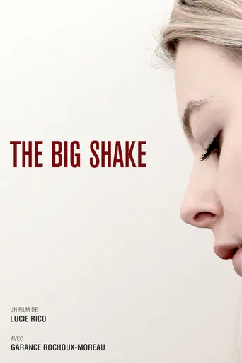 The Big Shake poster