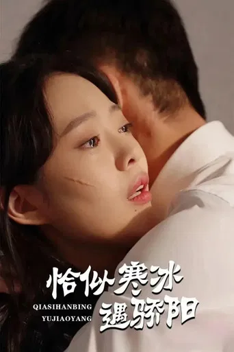 恰似寒冰遇骄阳 poster