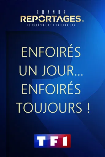 Enfoirés un Jour… Enfoirés toujours ! poster