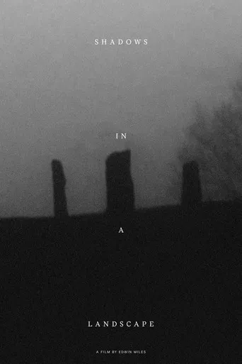 Shadows in a Landscape poster