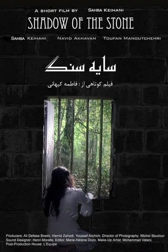 Shadow of the Stone poster