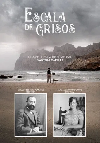 Escala de grisos poster