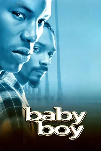 Baby Boy poster