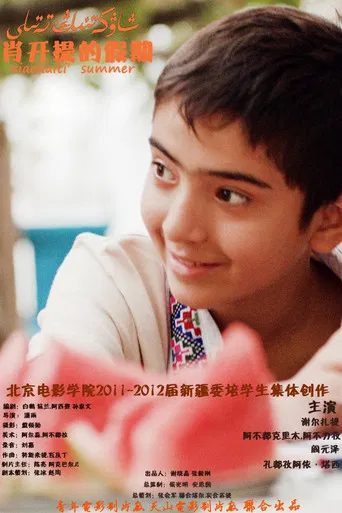 Xiao Kaiti's Vacation poster