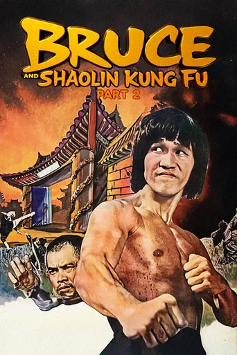 Bruce and Shaolin Kung Fu Part 2 poster