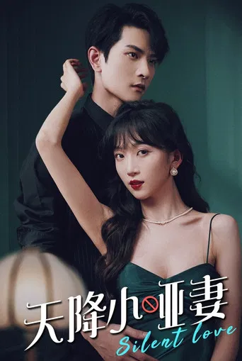 The Silent Wife Sent from Heaven poster