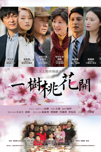 The Peach Blossom poster