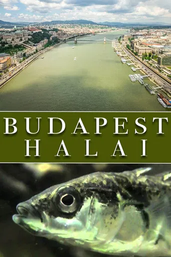 The Fish of Budapest poster