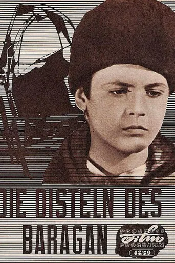 The Thistles of The Bărăgan poster