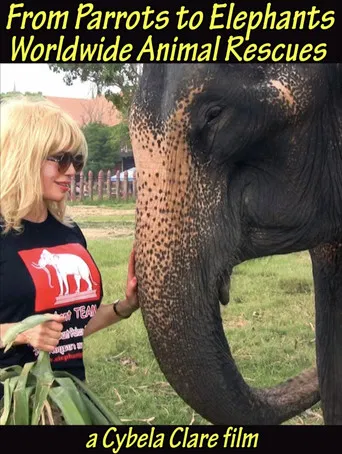 From Parrots to Elephants: Worldwide Animal Rescues poster