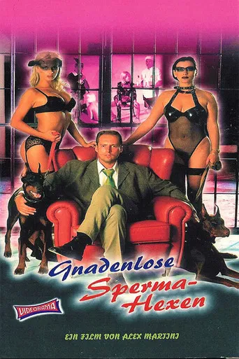 Le porte del desiderio poster