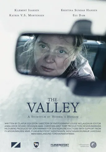 The Valley poster
