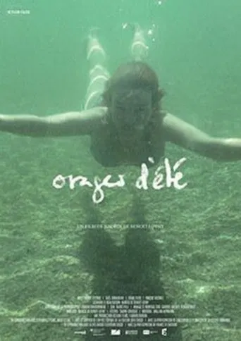 Orages d'été poster