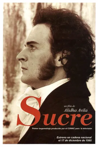 Alidha Ávila's Sucre poster