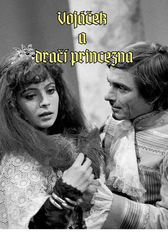Vojáček a dračí princezna poster