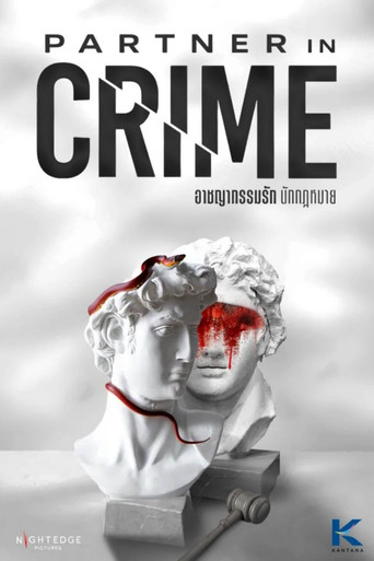Partner in Crime poster