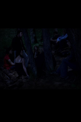 The Destructions poster