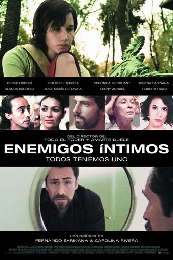 Enemigos íntimos poster