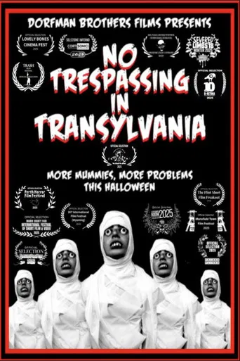 No Trespassing In Transylvania poster