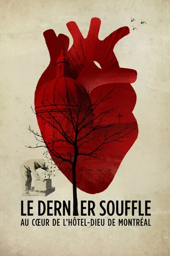 Le dernier souffle, au cœur de l'Hôtel-Dieu de Montréal poster