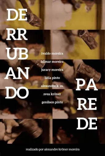 DERRUBANDO PAREDE poster