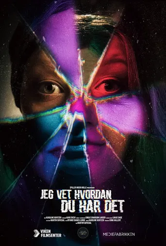 I Know How You Feel poster