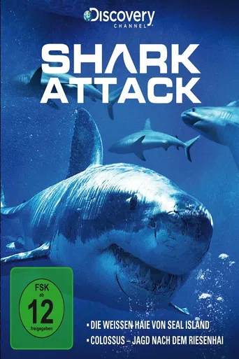 Shark Attack poster